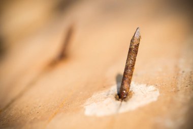 Tahtadaki paslı çivi, yakın plan.