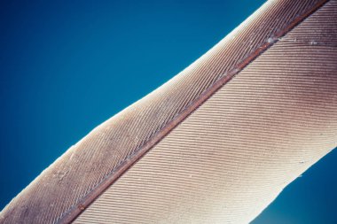 Renkli kumaş desenine yakın plan, soyut arkaplan 