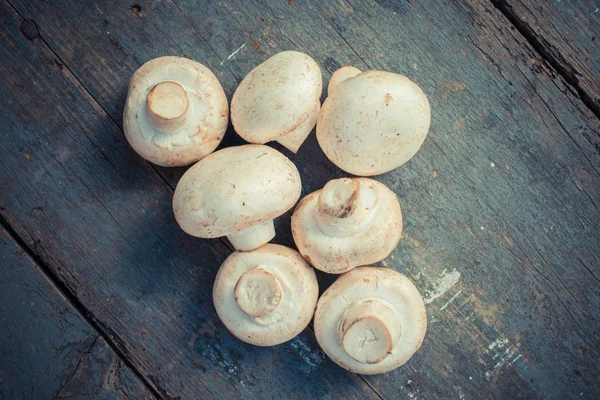생버섯을 — 스톡 사진