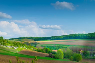Gündüz vakti yeşil çayırlardaki köy evlerinin uzak görüntüsü 