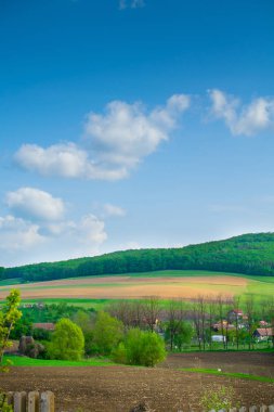 Gündüz vakti yeşil çayırlardaki köy evlerinin uzak görüntüsü 
