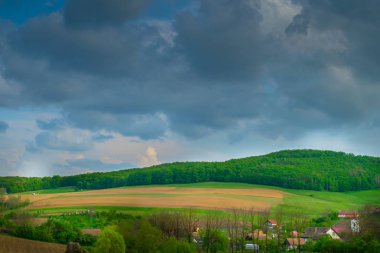 Gündüz vakti yeşil çayırlardaki köy evlerinin uzak görüntüsü 
