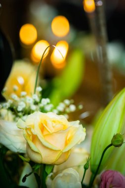 Rengarenk çiçek açma