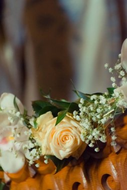 Rengarenk çiçek açma