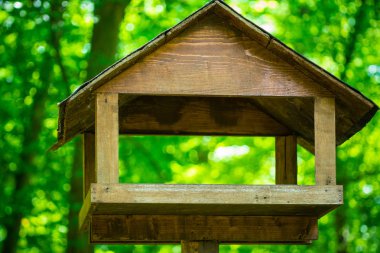 Gündüz vakti yeşil parktaki ahşap kuş evi. 