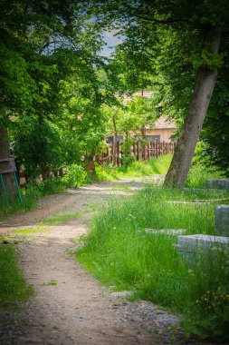 Gündüz vakti şehir parkında yol   