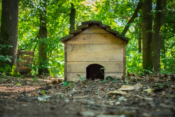 Dřevěný Psí Bouda Parku Dne — Stock fotografie