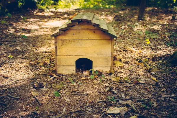 Casa Perro Madera Parque Durante Día — Foto de Stock