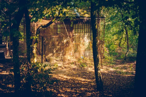 Velha Casa Madeira Floresta — Fotografia de Stock