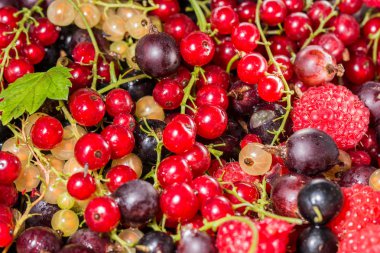 Olgun yaz meyveleri, renkli arka plan.