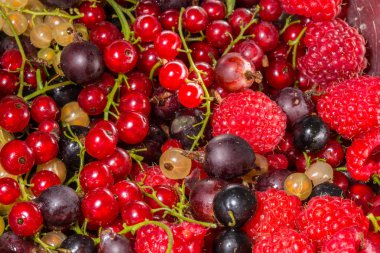 Olgun yaz meyveleri, renkli arka plan.