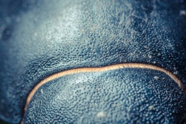 Deri ceketin kapağını kapat. 