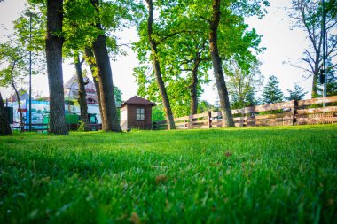 Gündüz vakti yeşil yaz parkında inşaat ve çit 
