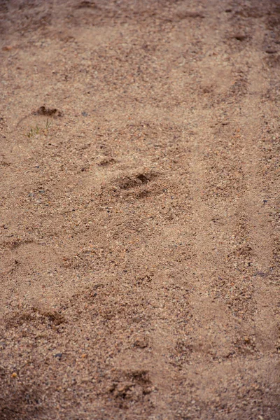 Närbild Bilavtryck Sand Abstrakt Bakgrund — Stockfoto