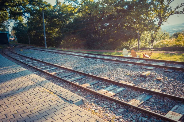 Spoorweg Vegetatie Overdag — Stockfoto