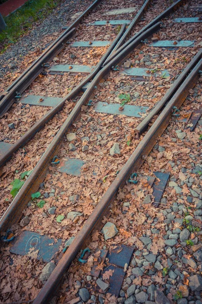 Spoorweg Vegetatie Overdag — Stockfoto