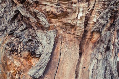 Metin için yeri olan ahşap tahtalar, soyut ahşap arkaplan