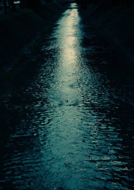 Şehirde gündüz yağmurlu bir yol