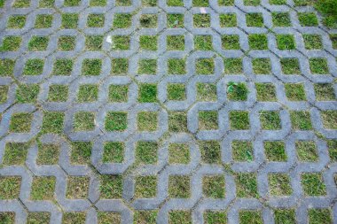 Yeşil çimile kaldırım levhaları Doku