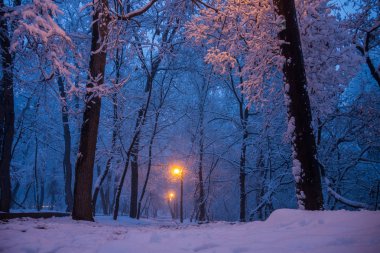 Lamba ile aydınlatılan karlı ormanın manzara manzarası