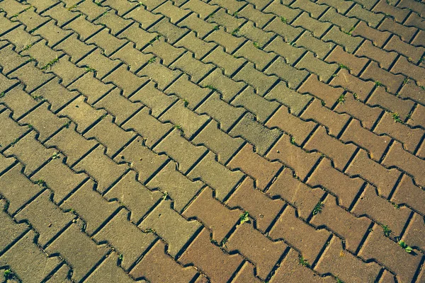 Close Perspective Pavement Texture — Stock Photo, Image
