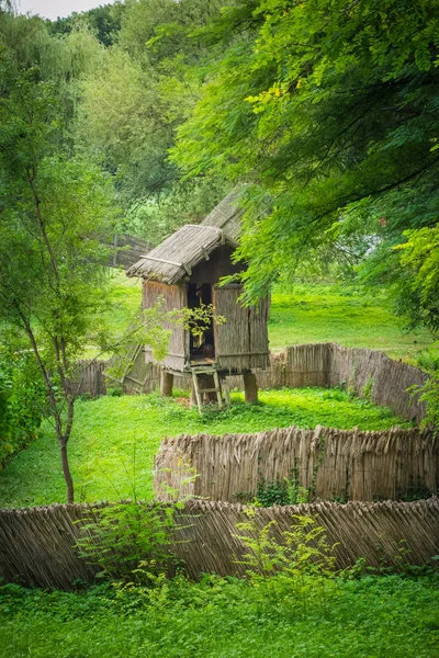 Zabytkowe Drewniane Domy Zielonej Łące — Zdjęcie stockowe