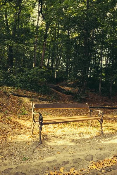 Pad Nyári Parkban Nappal — Stock Fotó