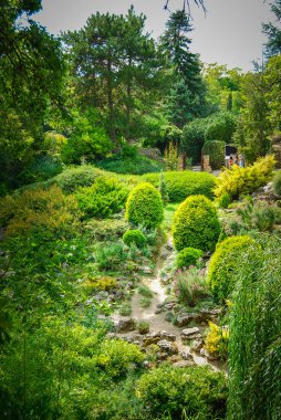 Green trees in old park at daytime 
