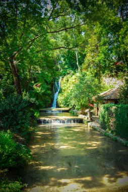 Parktaki güzel şelale