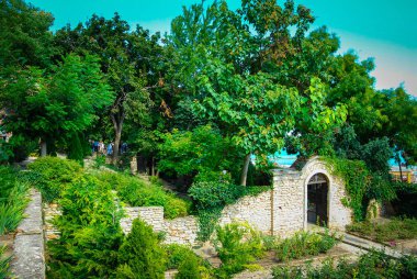 Gündüz vakti deniz kıyısında yeşil bahçe 