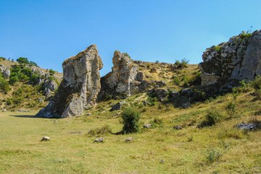 Gündüz vakti çayır üzerindeki taşların görüntüsü 