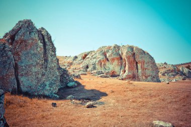 Gündüz vakti çayır üzerindeki taşların görüntüsü 