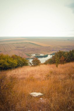 Gündüz vakti renkli yaz çayırı 