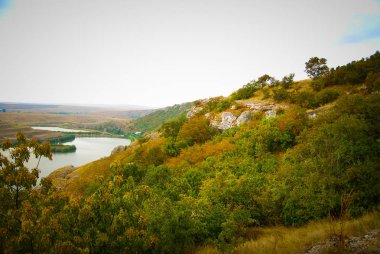 Gündüz vakti renkli yaz çayırı 