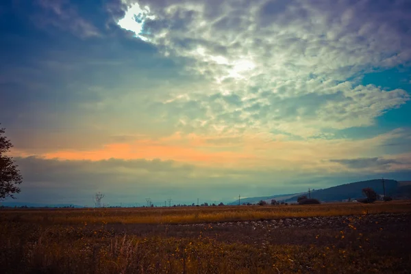 Bulutlu Gökyüzü Çiçek Tarlası — Stok fotoğraf