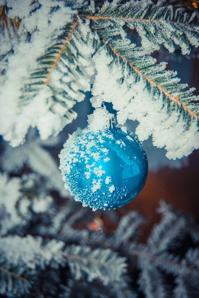 Nahaufnahme Einer Blauen Weihnachtskugel Auf Einem Tannenzweig — Stockfoto