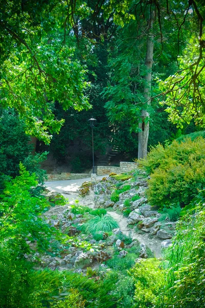 Green Trees Old Park Daytime — Fotografia de Stock