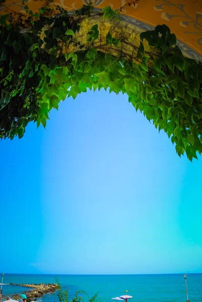 Oszlopok Boltívek Zöld Növényekkel Ősi Kertben — Stock Fotó