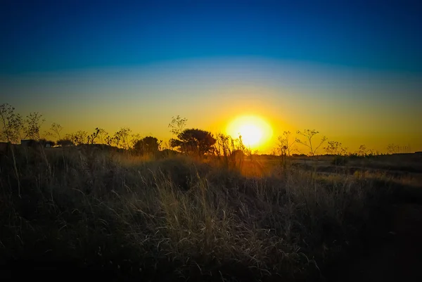 Scenic View Sunset Yellow Field — Stock Photo, Image