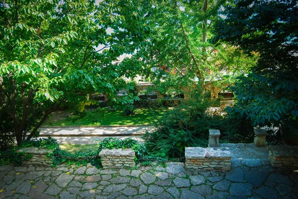Hermoso Jardín Con Hojas Verdes — Foto de Stock