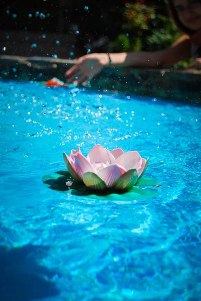 Крупный План Цветка Лилии Фонтане — стоковое фото