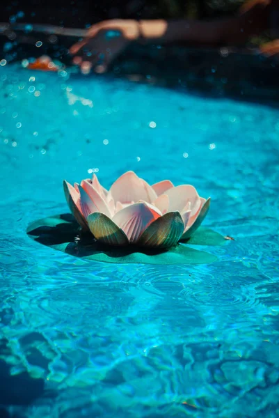 Closeup Lily Flower Fountain — Stock Photo, Image