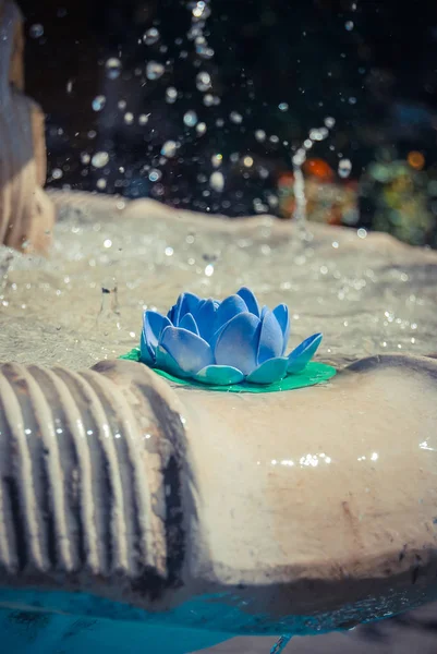 Closeup Lily Flower Fountain — Stock Photo, Image