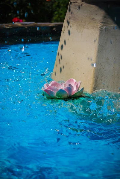 Closeup Lily Flower Fountain — Stock Photo, Image