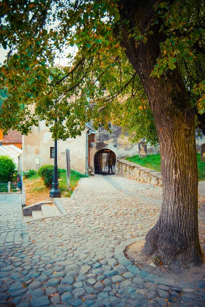 Courtyard Fortress Daytime — Stock Photo, Image