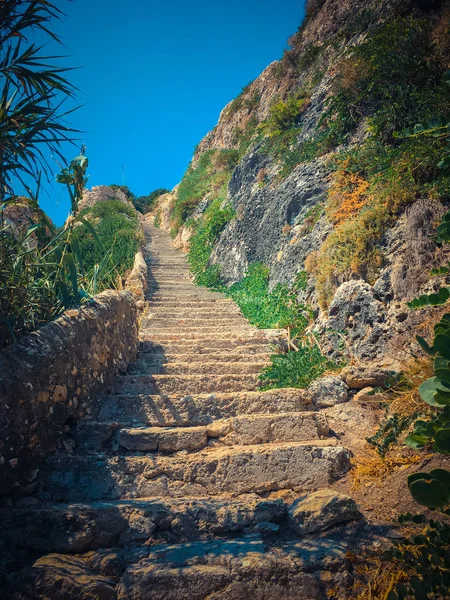 Old Stairs Forest — Stock Photo, Image