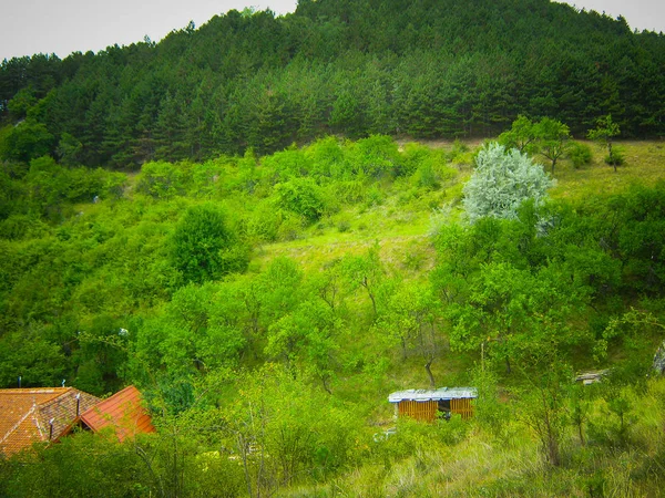 Starý Dům Zeleném Lese Letních Hor Zip Line Pohled — Stock fotografie