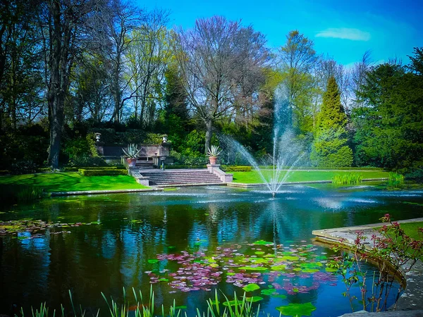 Kunstmatige Vijver Met Waterlelies Overdag — Stockfoto