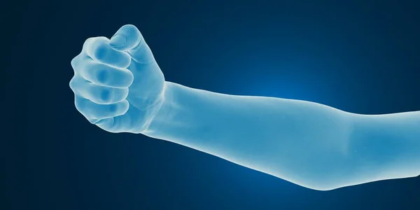 Рендеринг Сканирование Человеческой Руки — стоковое фото