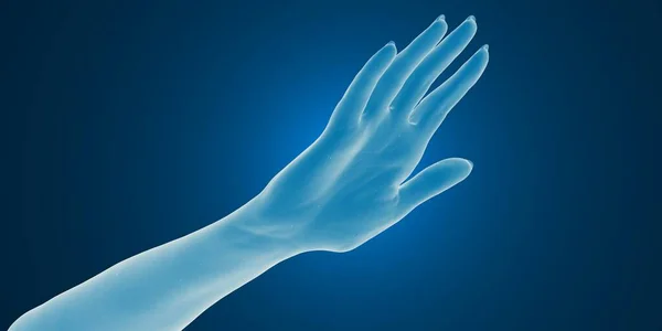 3Dレンダリング 人間の手のスキャン — ストック写真